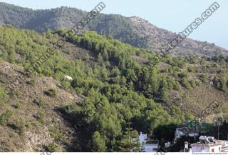 background forest Frigiliana 0003